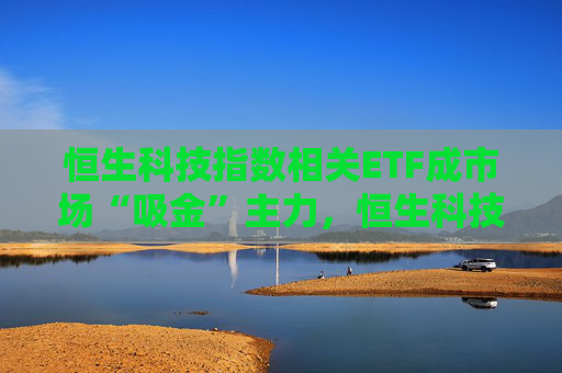 恒生科技指数相关ETF成市场“吸金”主力，恒生科技ETF（513130）份额突破380亿份，再创历史新高