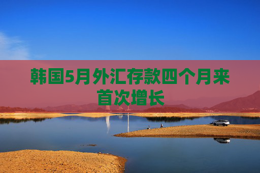 韩国5月外汇存款四个月来首次增长