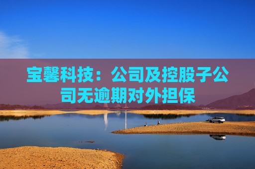 宝馨科技：公司及控股子公司无逾期对外担保