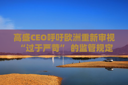 高盛CEO呼吁欧洲重新审视 “过于严苛” 的监管规定