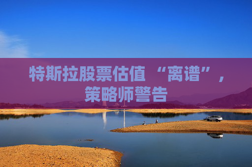 特斯拉股票估值 “离谱”，策略师警告
