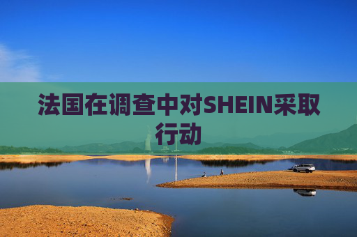 法国在调查中对SHEIN采取行动