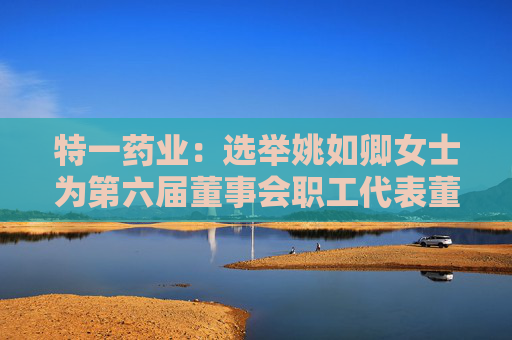 特一药业：选举姚如卿女士为第六届董事会职工代表董事