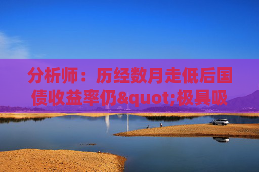 分析师：历经数月走低后国债收益率仍"极具吸引力"