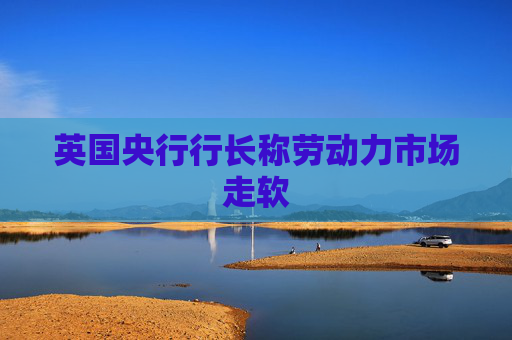 英国央行行长称劳动力市场走软