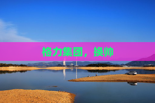 格力集团，换帅