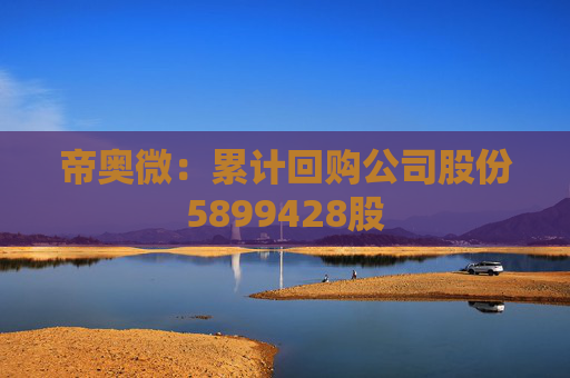 帝奥微：累计回购公司股份5899428股