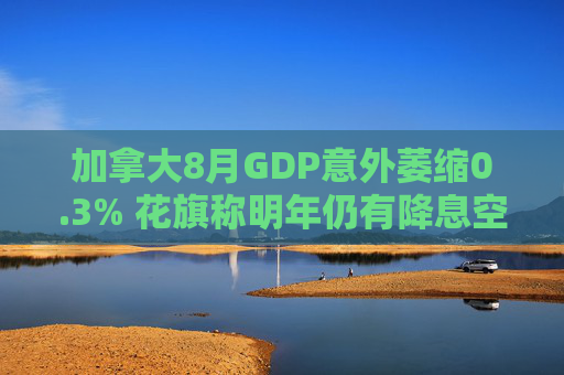 加拿大8月GDP意外萎缩0.3% 花旗称明年仍有降息空间 第1张 加拿大8月GDP意外萎缩0.3% 花旗称明年仍有降息空间 第1张