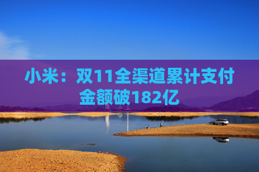 小米：双11全渠道累计支付金额破182亿