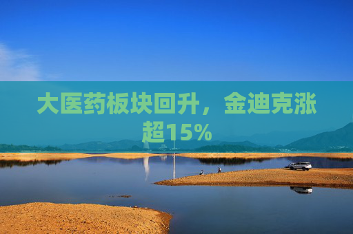 大医药板块回升，金迪克涨超15%  第1张