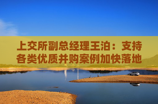 上交所副总经理王泊：支持各类优质并购案例加快落地 推动形成既“放得活”又“管得好”的并购市场秩序