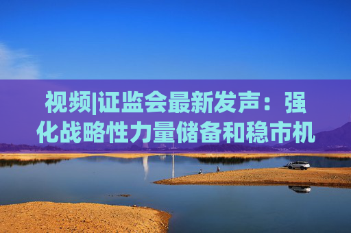 视频|证监会最新发声：强化战略性力量储备和稳市机制建设，提升资本市场内在稳定性