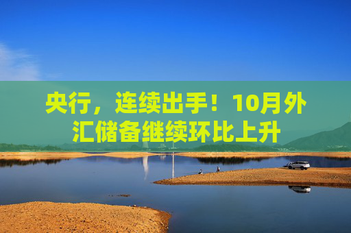 央行，连续出手！10月外汇储备继续环比上升