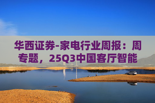 华西证券-家电行业周报：周专题，25Q3中国客厅智能设备线上销额同比增长，品类表现分化-251109