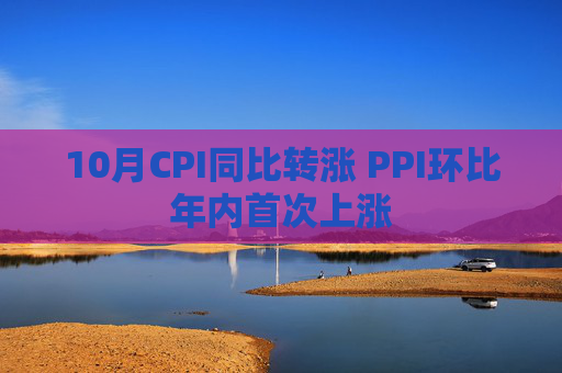 10月CPI同比转涨 PPI环比年内首次上涨