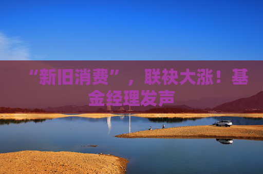 “新旧消费”，联袂大涨！基金经理发声