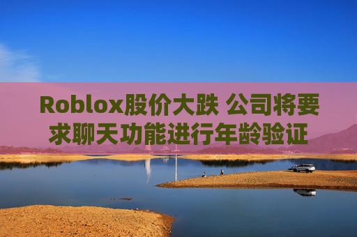 Roblox股价大跌 公司将要求聊天功能进行年龄验证  第1张