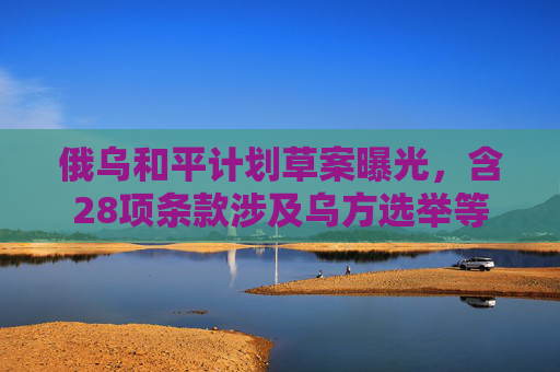 俄乌和平计划草案曝光，含28项条款涉及乌方选举等