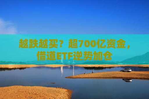 越跌越买？超700亿资金，借道ETF逆势加仓