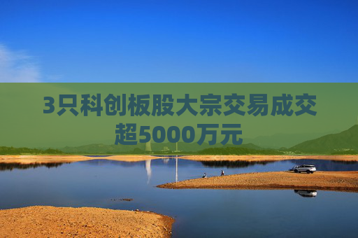 3只科创板股大宗交易成交超5000万元  第1张