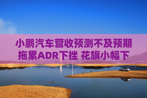 小鹏汽车营收预测不及预期拖累ADR下挫 花旗小幅下调目标价  第1张