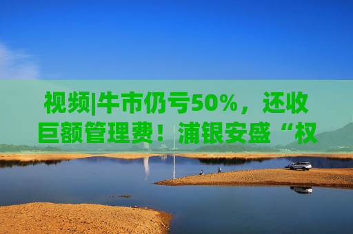 视频|牛市仍亏50%，还收巨额管理费！浦银安盛“权益一哥”蒋佳良在基民的骂声中卸任