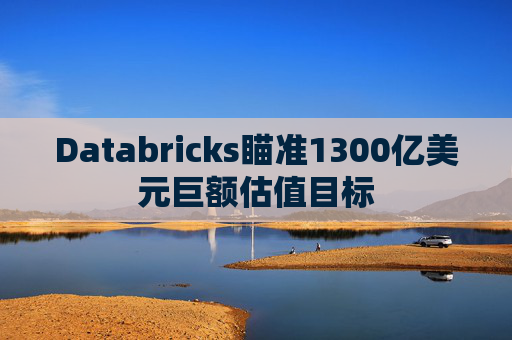 Databricks瞄准1300亿美元巨额估值目标