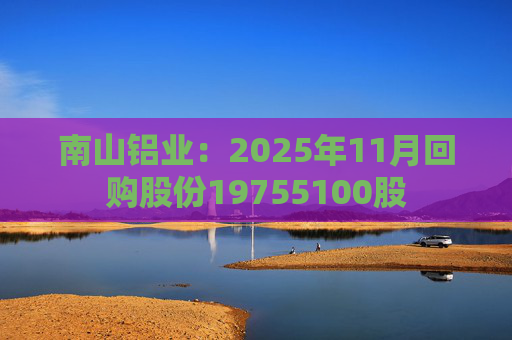 南山铝业：2025年11月回购股份19755100股