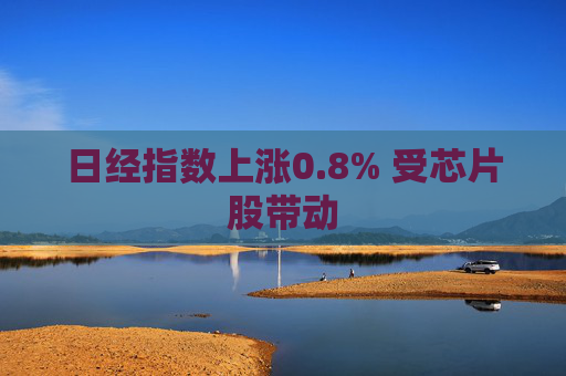 日经指数上涨0.8% 受芯片股带动