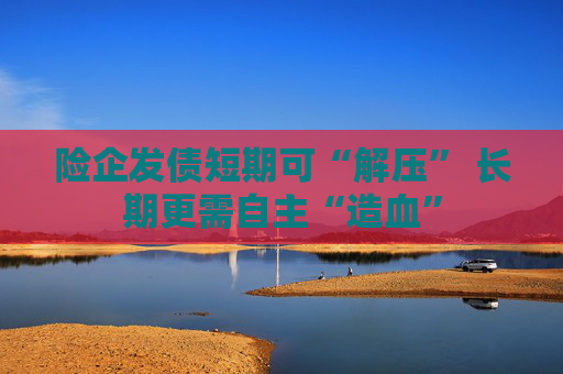 险企发债短期可“解压” 长期更需自主“造血”