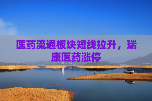 医药流通板块短线拉升，瑞康医药涨停