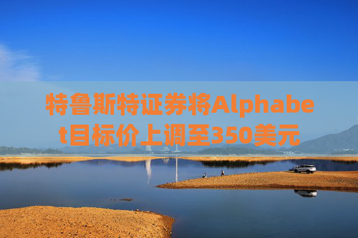 特鲁斯特证券将Alphabet目标价上调至350美元