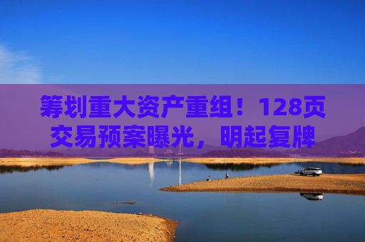 筹划重大资产重组！128页交易预案曝光，明起复牌