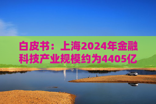 白皮书：上海2024年金融科技产业规模约为4405亿元