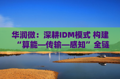 华润微：深耕IDM模式 构建“算能—传输—感知”全链条生态