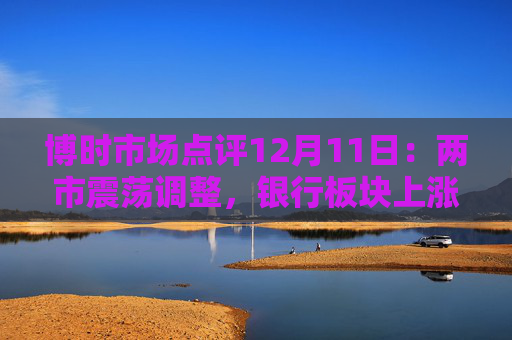 博时市场点评12月11日：两市震荡调整，银行板块上涨