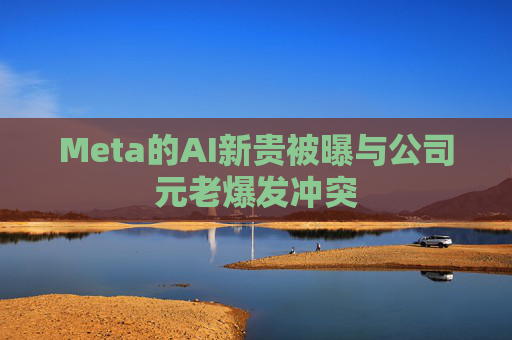 Meta的AI新贵被曝与公司元老爆发冲突