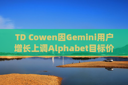 TD Cowen因Gemini用户增长上调Alphabet目标价