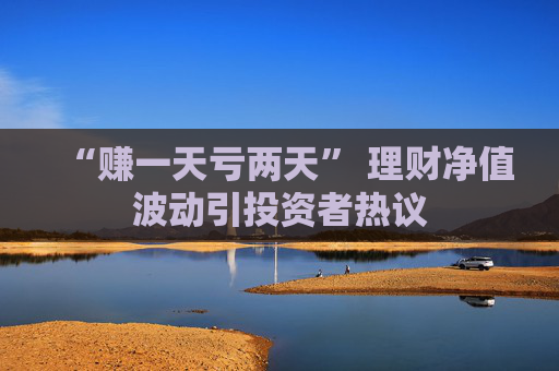 “赚一天亏两天” 理财净值波动引投资者热议