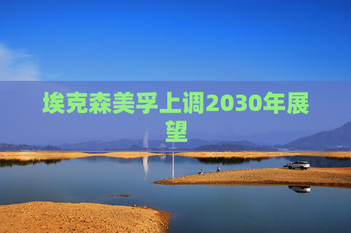 埃克森美孚上调2030年展望