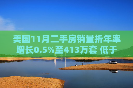 美国11月二手房销量折年率增长0.5%至413万套 低于预期