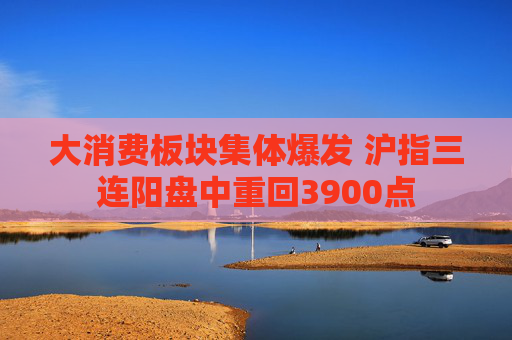 大消费板块集体爆发 沪指三连阳盘中重回3900点