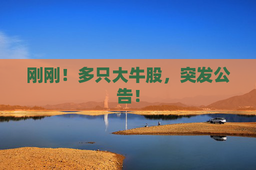 刚刚！多只大牛股，突发公告！