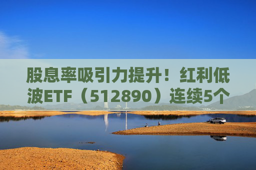 股息率吸引力提升！红利低波ETF（512890）连续5个交易日获资金净流入！