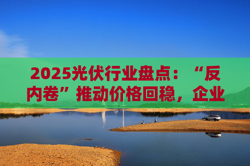 2025光伏行业盘点：“反内卷”推动价格回稳，企业自救提速
