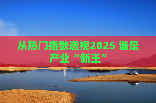 从热门指数透视2025 谁是产业“新王”