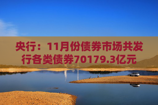 央行：11月份债券市场共发行各类债券70179.3亿元