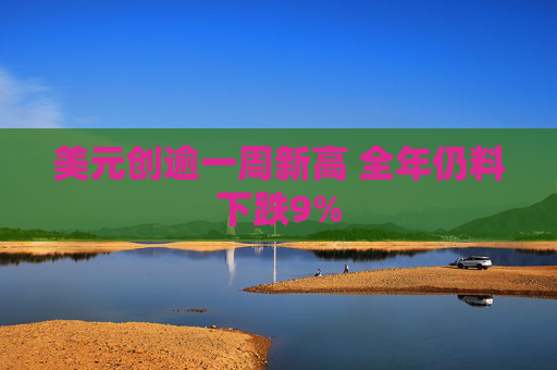 美元创逾一周新高 全年仍料下跌9%