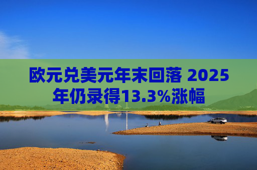 欧元兑美元年末回落 2025年仍录得13.3%涨幅