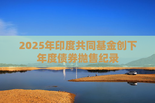 2025年印度共同基金创下年度债券抛售纪录